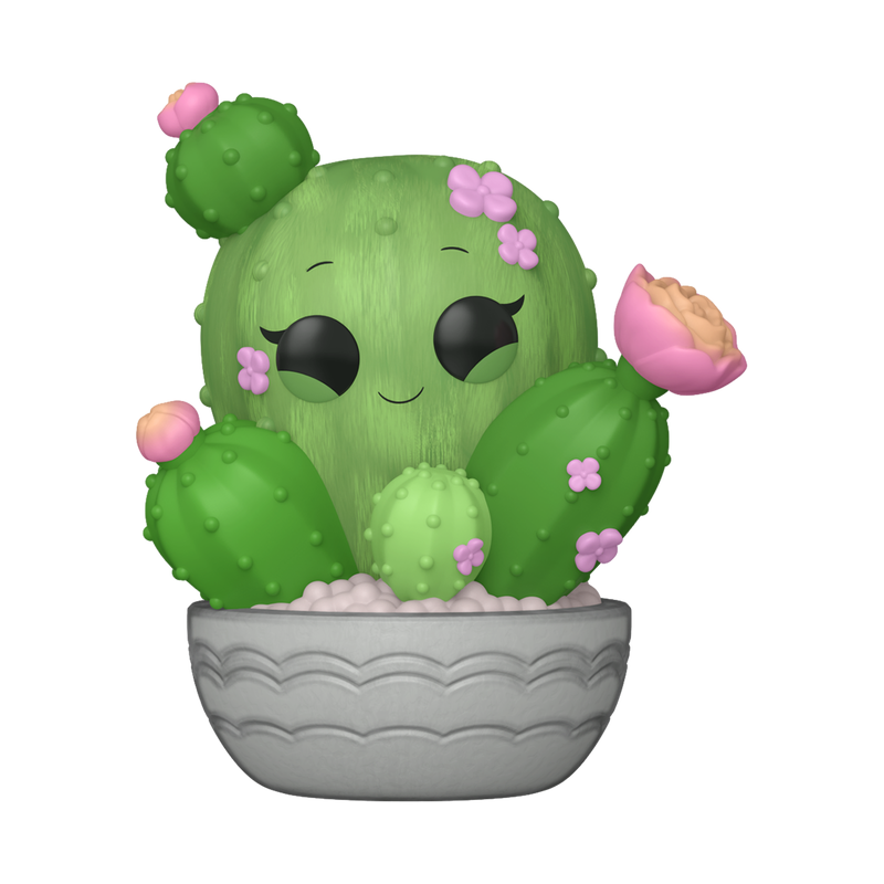 Plants — Barrel Cactus