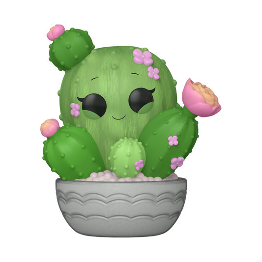Plants — Barrel Cactus